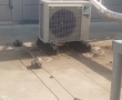 BARTH DAIKIN - 2